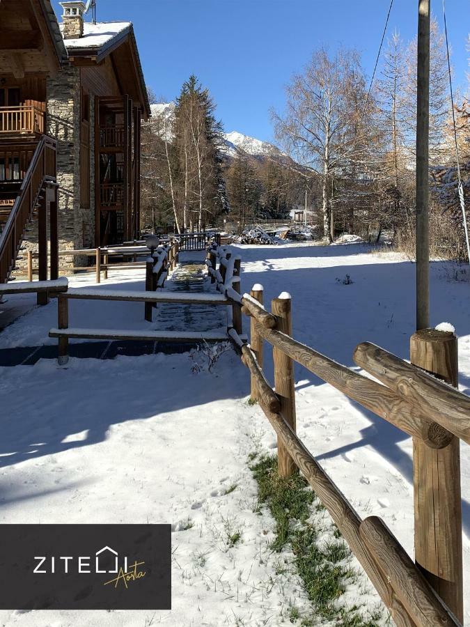 Zitelli Aosta Villa Cogne Ngoại thất bức ảnh