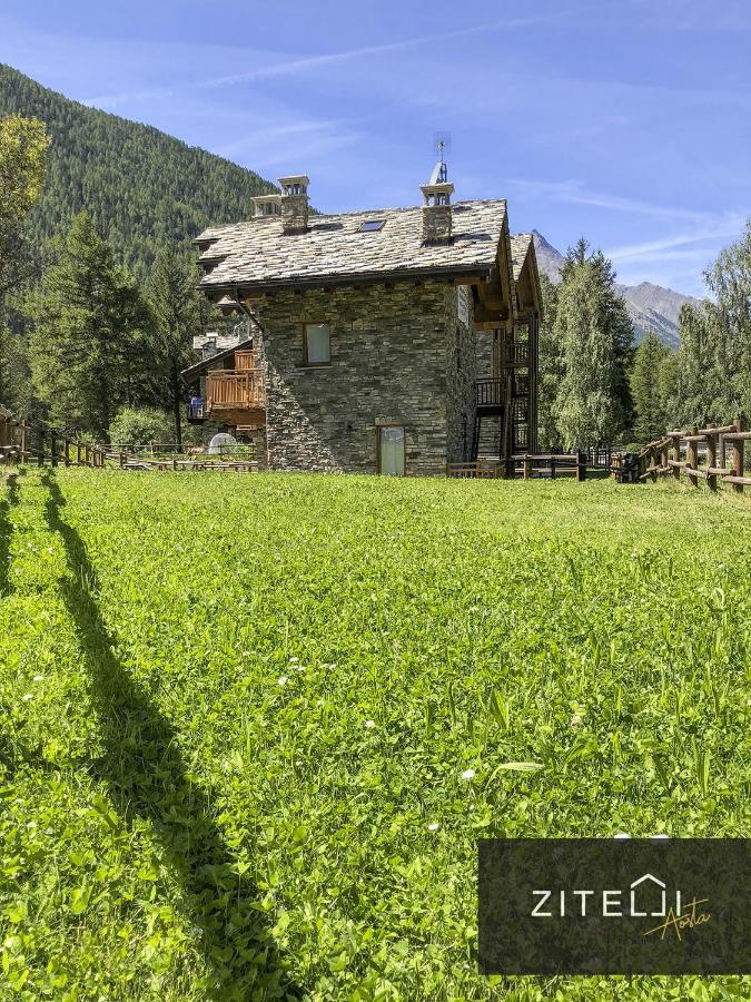 Zitelli Aosta Villa Cogne Ngoại thất bức ảnh